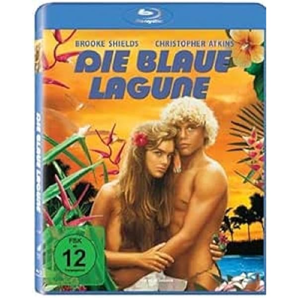DVD  パラダイス・ブルーラグーン Amazon.co.jp: ブルーラグーン [レンタル落ち] : DVD